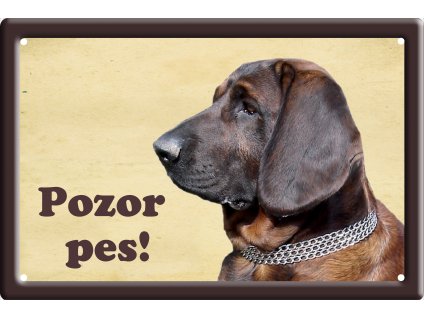 Hannoversky barvar 1