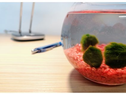 SET Řasokoule a akvarijní koule 0,8 l s červeným štěrkem