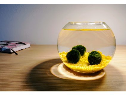 SET Řasokoule a akvarijní koule 2 l s žlutým štěrkem