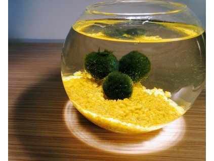 SET Řasokoule a akvarijní koule 0,8 l s žlutým štěrkem