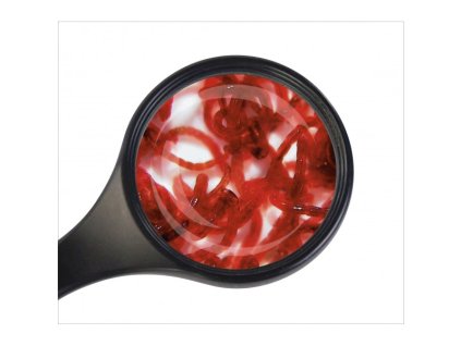 Patentka (Červená komáří larva) ŽIVÁ - pytlík