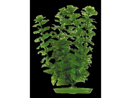 Rostlina LIVING WORLD Ambulia 30 cm