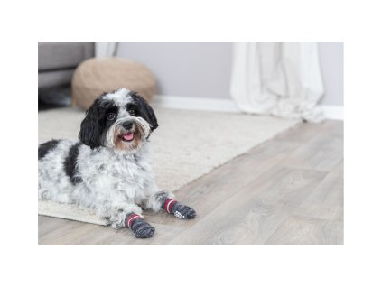 Protiskluzové šedé ponožky, 2 ks pro psy XXS-XS (jorkšír)