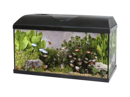 Akvárium set PACIFIC 100 x 30 x 40 cm, 120 litrů, s LED osvětlením bez techniky