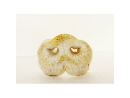 Vepřové rypáčky sušené BÍLÉ 0,5kg