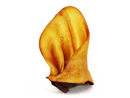 2585 ucho hovezi susene prirodni