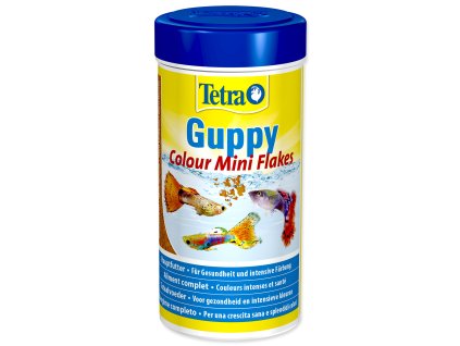 262114109 1315936502200383 2171944142045246583 n