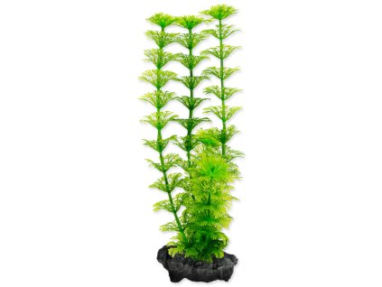 262114109 1315936502200383 2171944142045246583 n