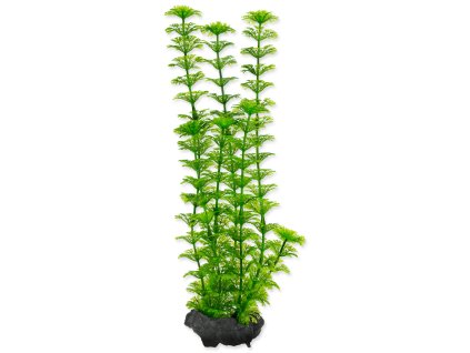 262114109 1315936502200383 2171944142045246583 n