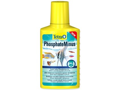 262114109 1315936502200383 2171944142045246583 n