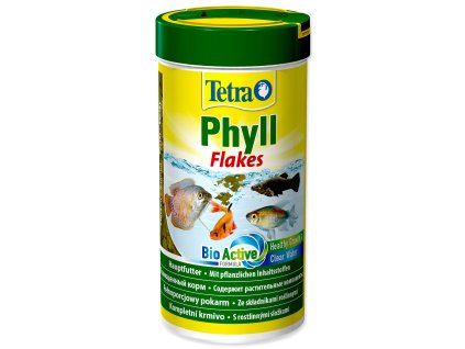 262114109 1315936502200383 2171944142045246583 n