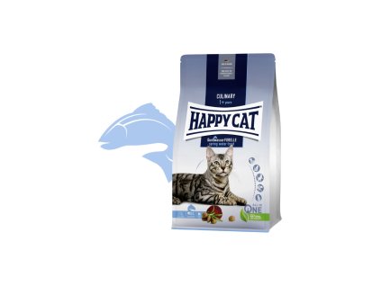 dfyad6y4mm7tmwr6egv6