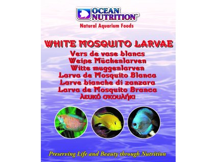 White Mosquito Larvae