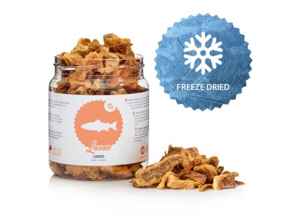 Raw Raw pamlsky mrazem sušené maso z Lososa 110 g