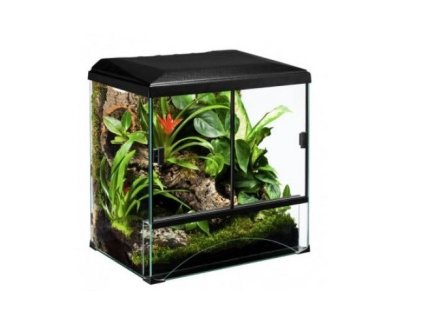 10839 terarijni set forest 30 diversa