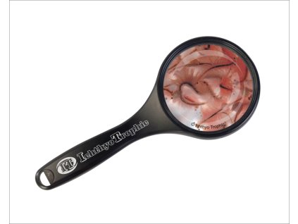 Artemia Lebendfutter