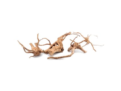 revovy koren amano finger wood mini 60a7234 400x400 g0