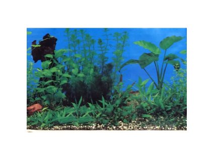 Akvarijní pozadí C060050 výška 49cm