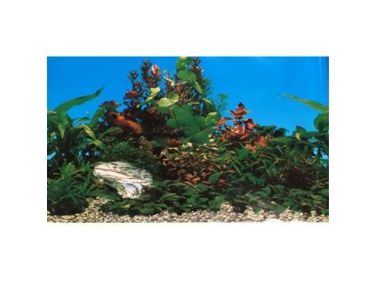 Akvarijní pozadí C130060 výška 61cm