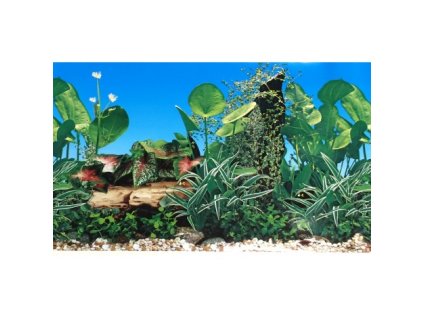 Akvarijní pozadí C140060 výška 61cm