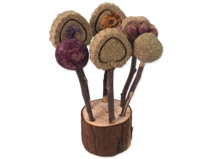 Hračka SMALL ANIMALS okusovací lízátka 17cm