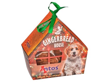 gingerbread house 1649329748