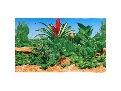 Akvarijní pozadí C150050 výška 49 cm