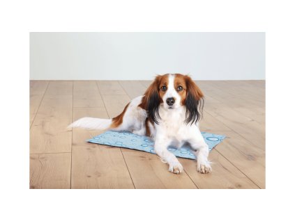 Chladící podložka S pro zvířata, motiv bublinky 40x30cm modrá