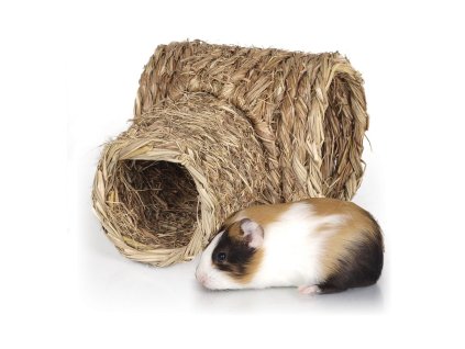 Tunel travní - morče