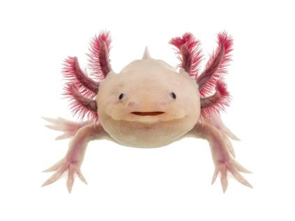 Návrh bez názvu 2024 05 28T145256.448