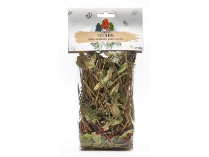 Herbs Bylinná směs od lesa 50g
