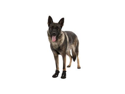 Ochranné boty WALKER ACTIVE, 2 ks