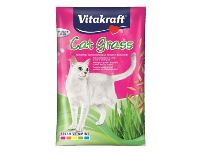 Obrázek WhatsApp, 2024 02 13 v 13.54.57 0e52b580