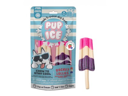 chladici pochoutka pup ice jahoda boruvka 2ks 90g original