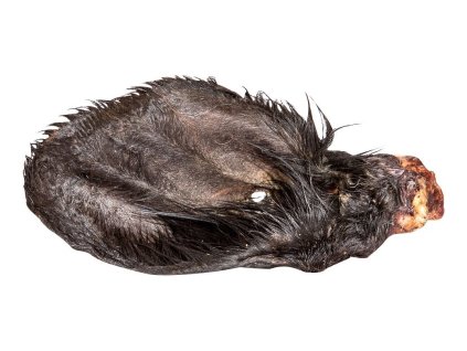 TR Ucho hovězí, sušené se srstí - 1 ks