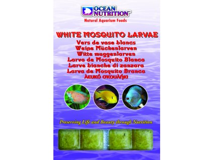 White Mosquito Larvae