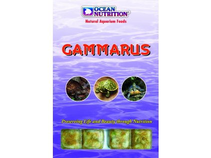 Gammarus