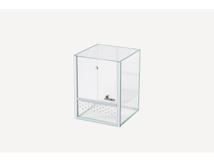 spider terarium new 2