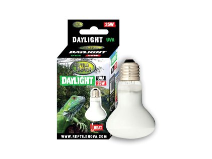 DAYLIGHT 25W BULB