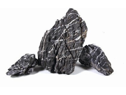 4453B56C 9A97 4F69 BD7C FD1E3159A5DB