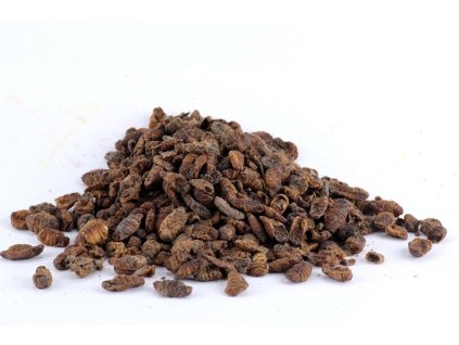 97e441626099404525eec3384041dee6 img 5599 z1