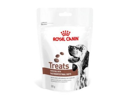 138136 royal canin dog gastrointestinal treats 230 g