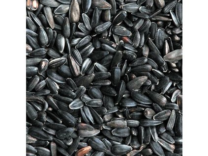 ps 0009 slunecnice cerna web 1 1 164455