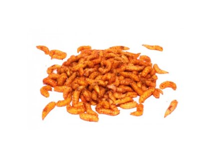 Masový červ ORANŽOVÝ