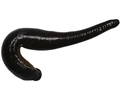 Návrh bez názvu (12)