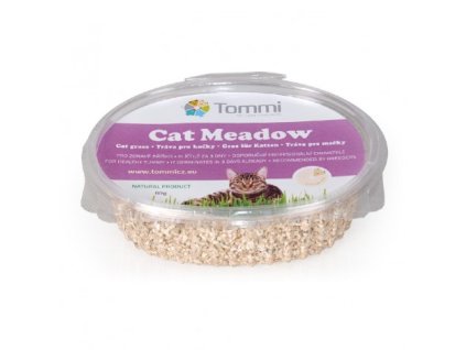 Tráva pro kočky krabička 60g