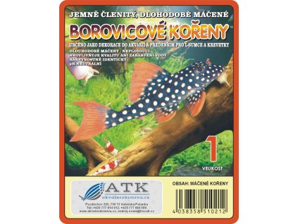 Borovicový kořen z vřesoviště, extra-máčený