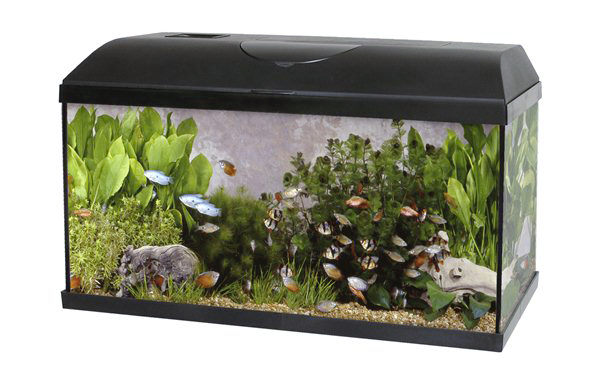 Akvárium set PACIFIC 60 x 30 x 30 cm, 54 litrů, s LED osvětlením bez techniky