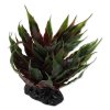 34160 rostlina repti planet sukulent agave zelena 18 cm 1ks