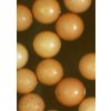 Ocean Nutrition Artemie Brine Shrimp Eggs